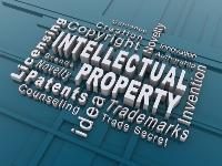 What is Intellectual Property Rights (IPRs)?