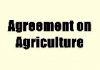 What are the different Domestic support or subsidies to agriculture under WTO?
