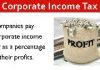 Why the government is reducing Corporate Income Tax Rate?