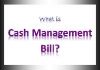 What are Cash Management Bills (CMBs)?
