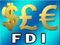 What is Round tripping of FDI?